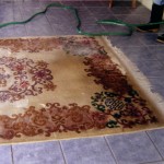 Hand Wash Carpet Cleaning